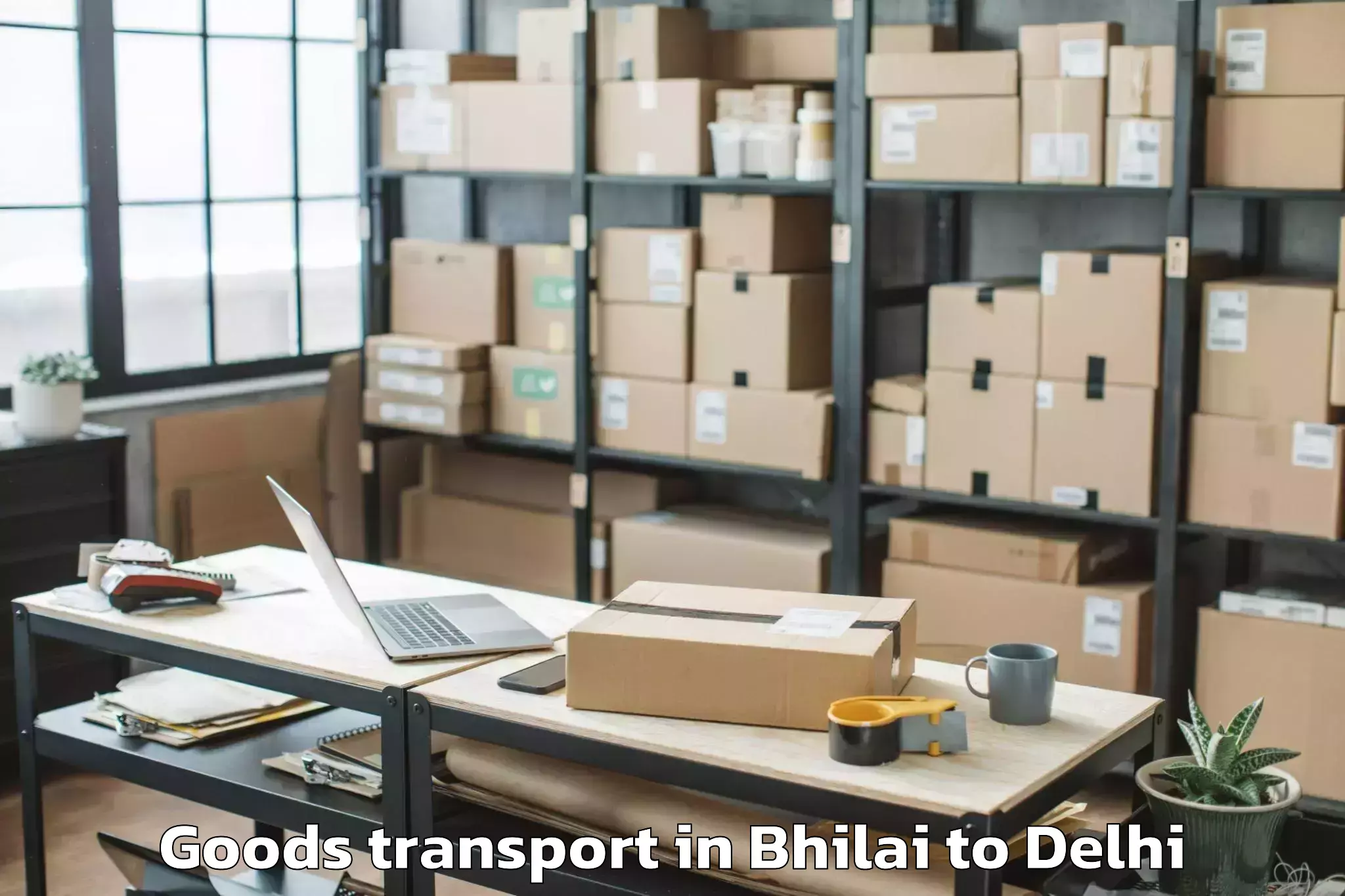 Top Bhilai to Unity One Janakpuri Mall Goods Transport Available